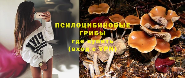 стаф Верхнеуральск