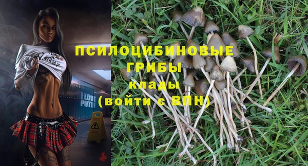 а пвп мука Верхний Тагил
