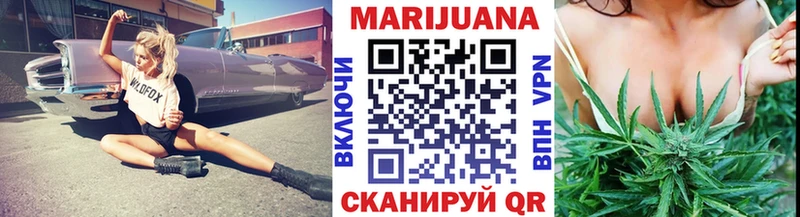 Марихуана MAZAR ОМГ ОМГ ссылки Новозыбков